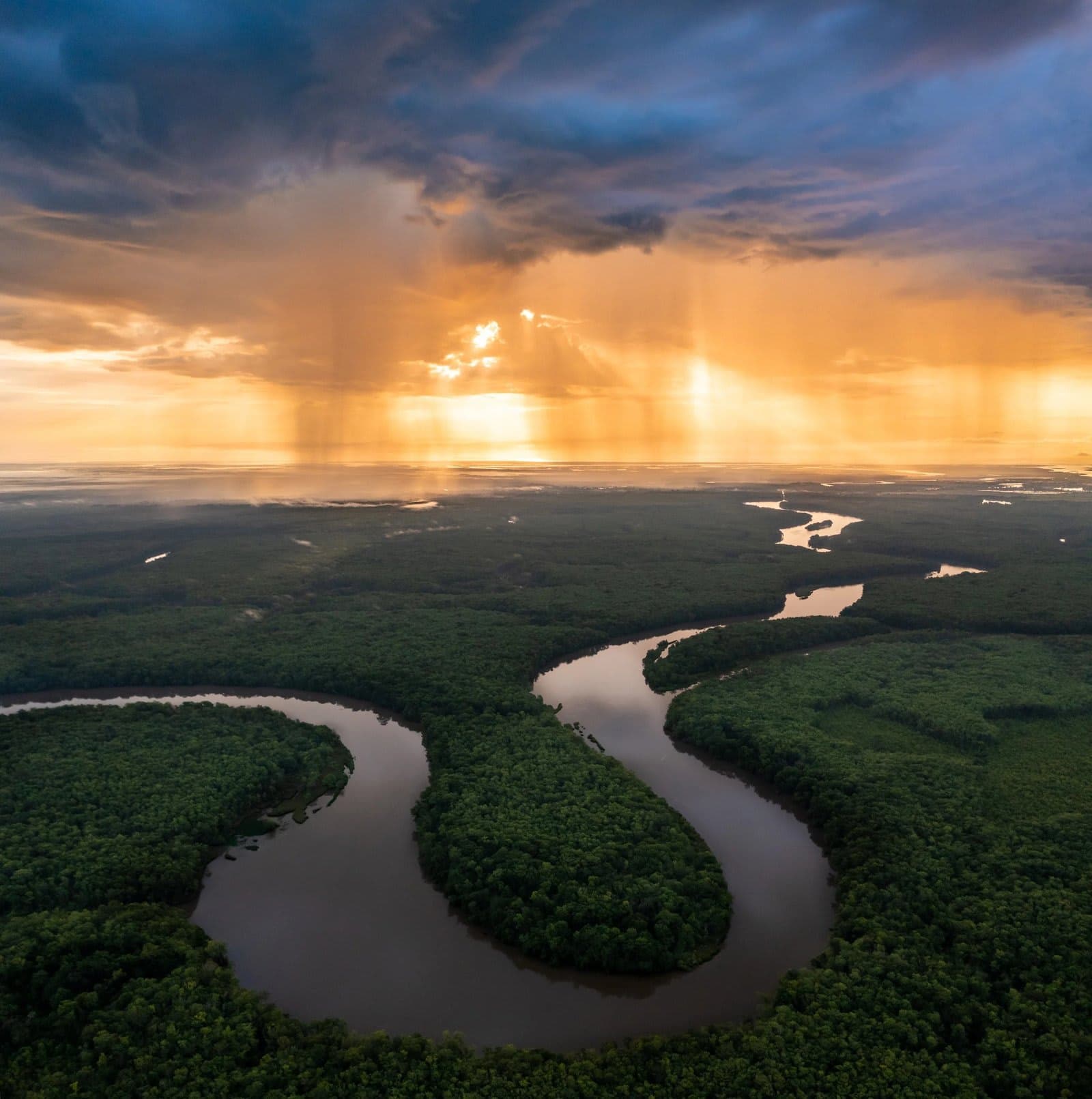 Amazon Blackwater — habitat photo