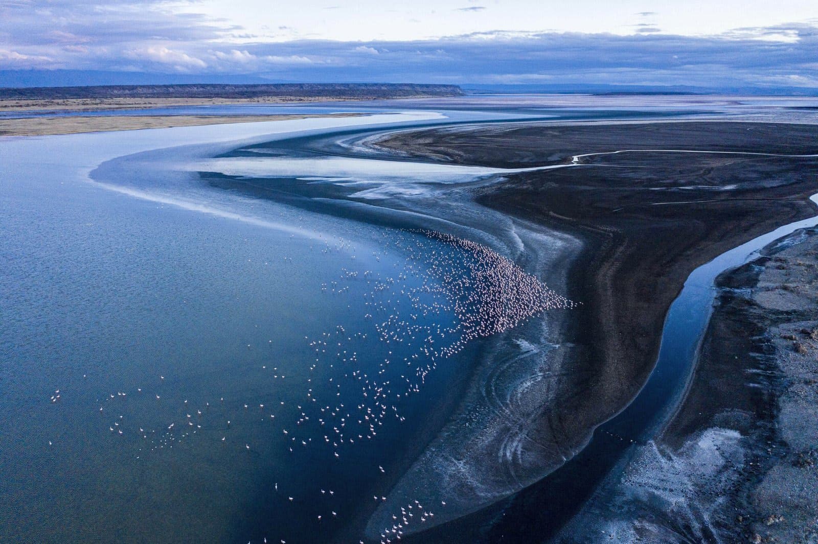 African Rift Lake (Tanganyika / Malawi) — habitat photo