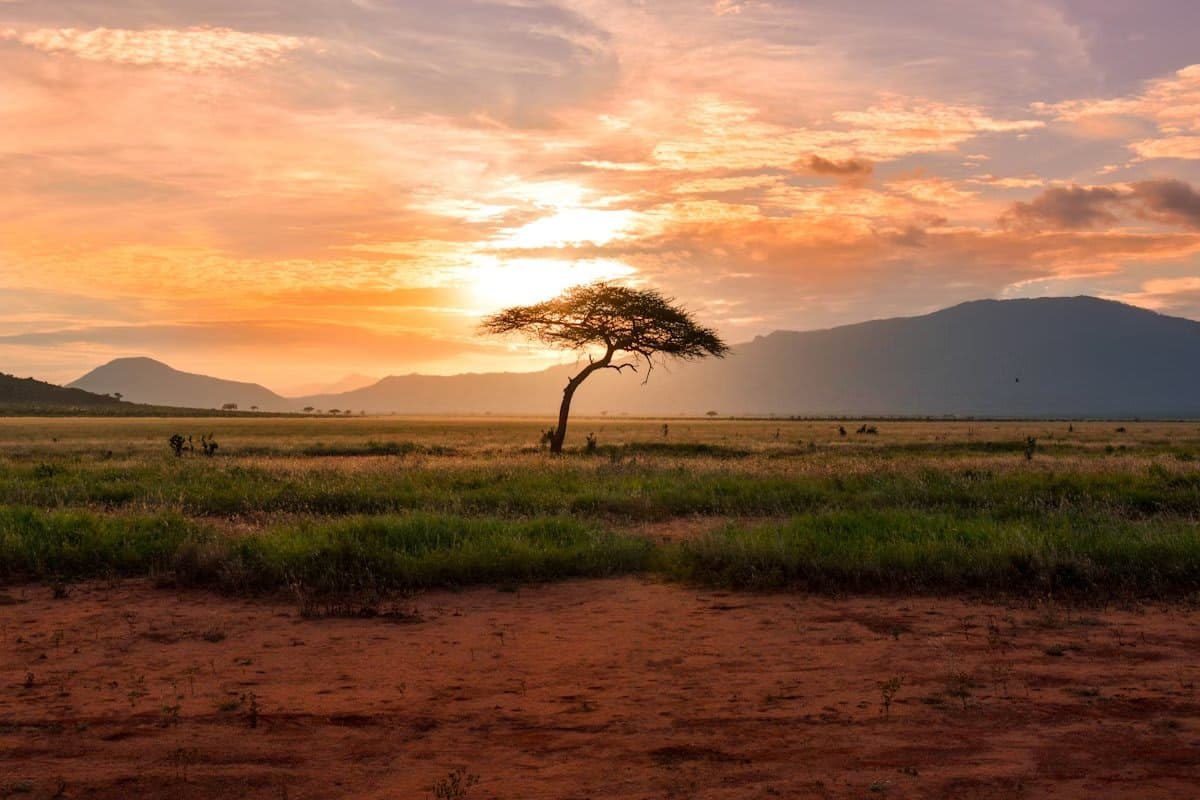 African Rift Lake (Tanganyika / Malawi) — habitat photo