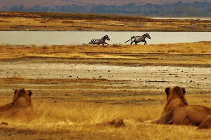 African Rift Lake (Tanganyika / Malawi) — habitat photo