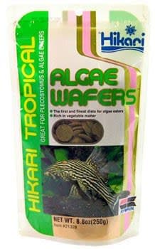 Algae wafer