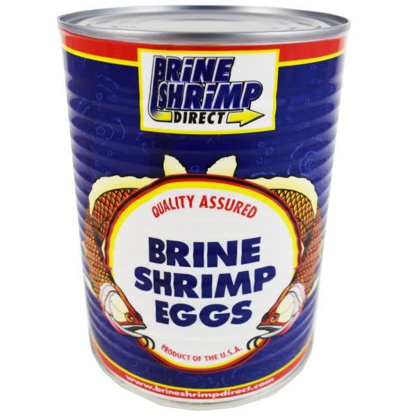 Brine shrimp eggs