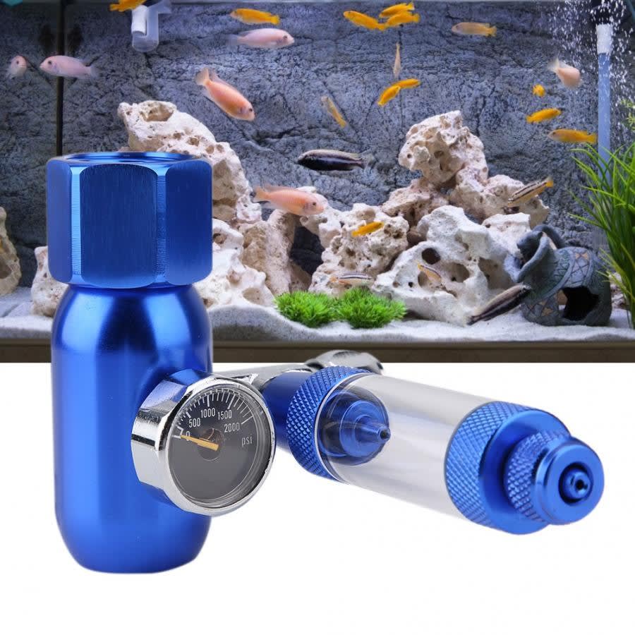 CO2 check valve