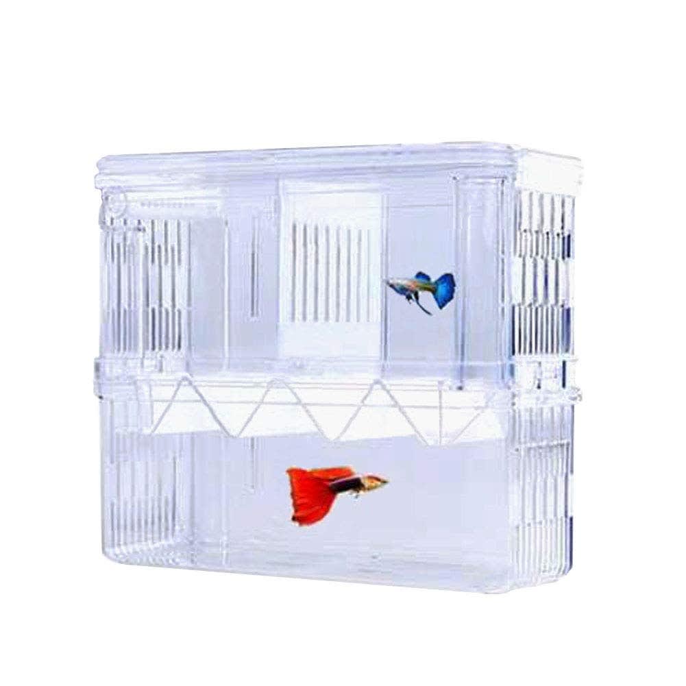 Fry rearing box