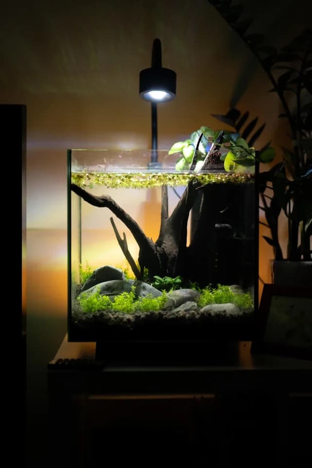 Nano tank 15-30L