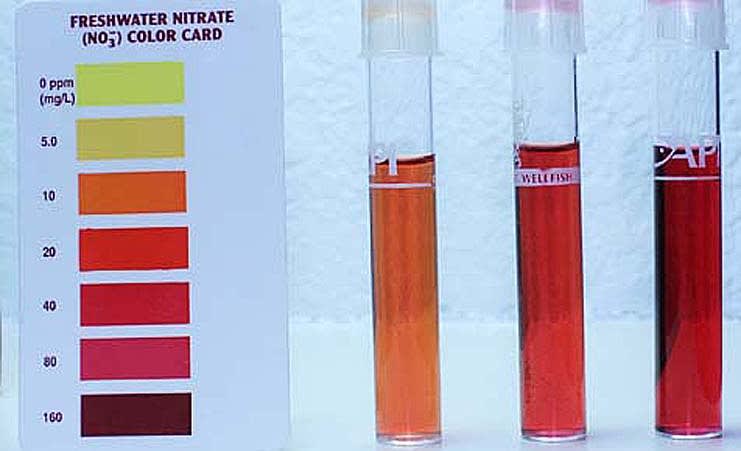 Nitrate test