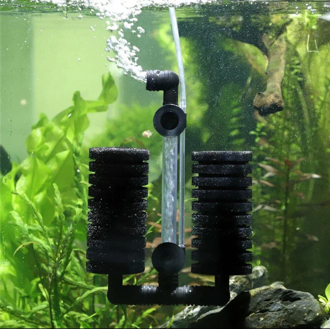 Sponge filter