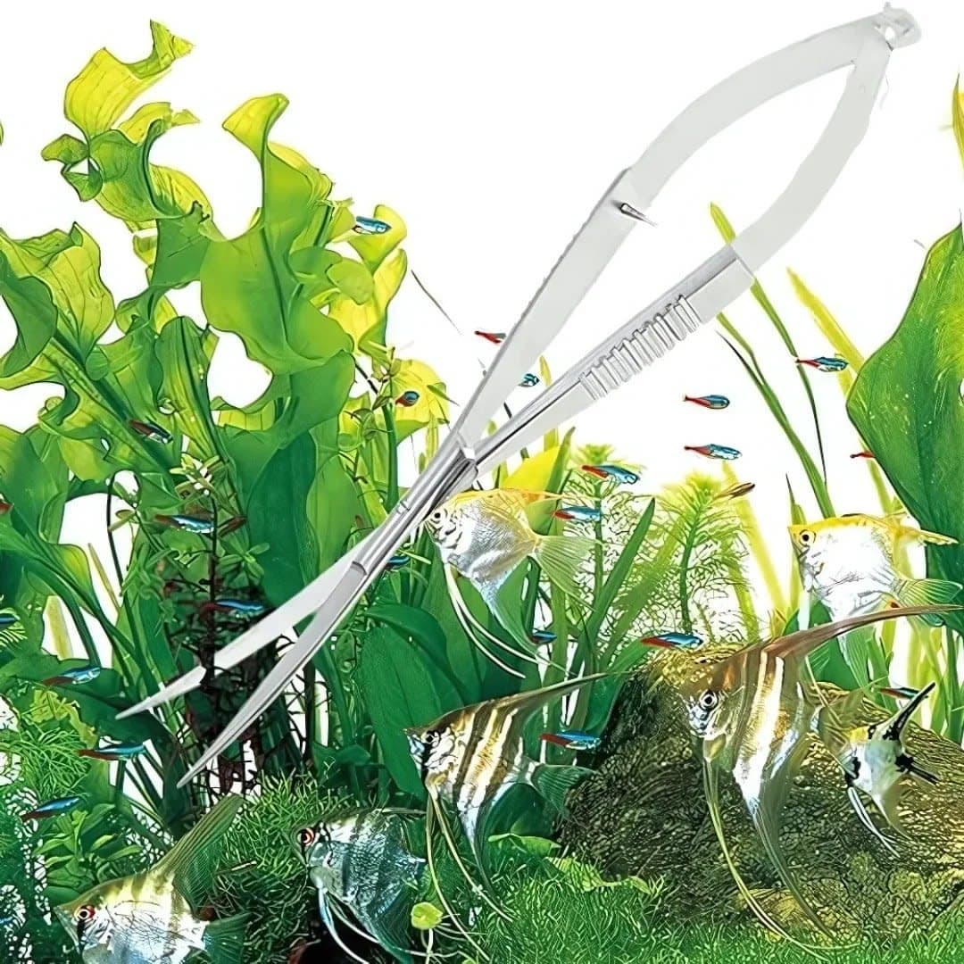 Spring scissors